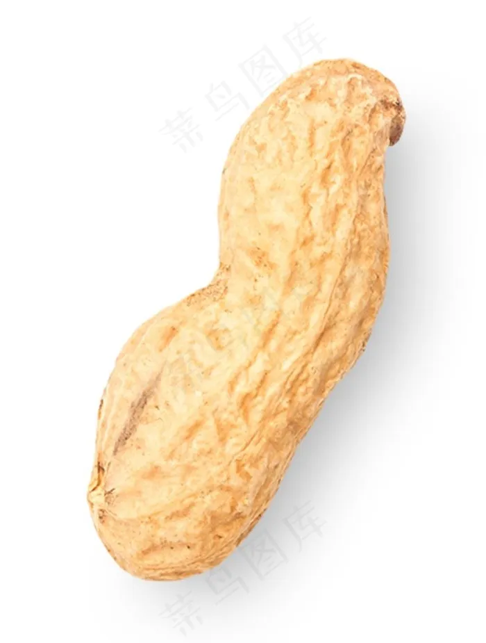 花生图片psd模版下载