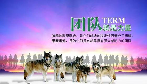 团队图片 团队图片