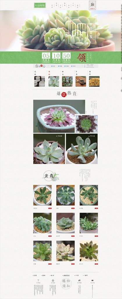 淘宝天猫多肉植物首页图片(1920X4366(DPI:72))psd模版下载