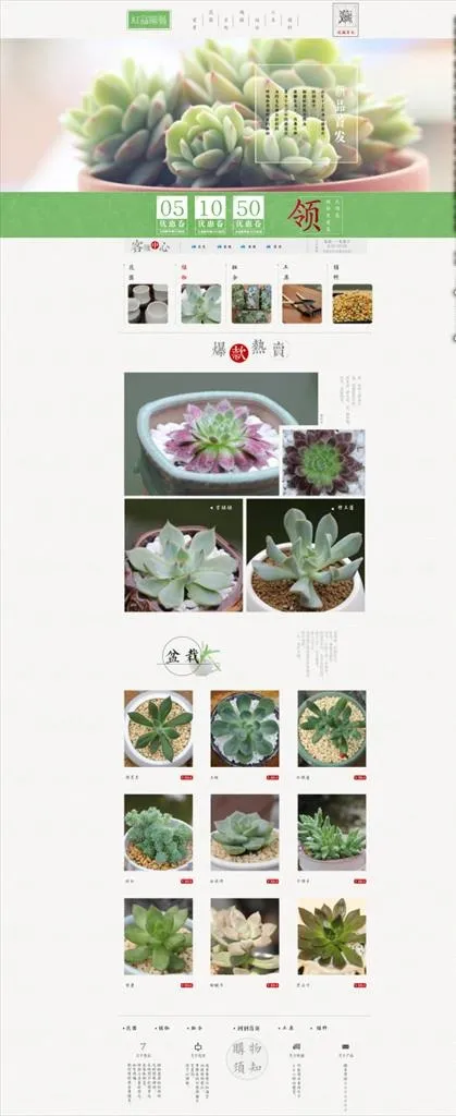 淘宝天猫多肉植物首页图片(1920X4366(DPI:72))psd模版下载