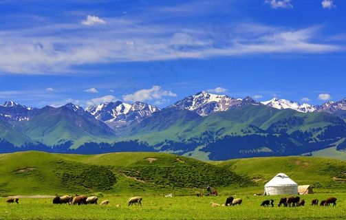 蒙古包  草原风景图片