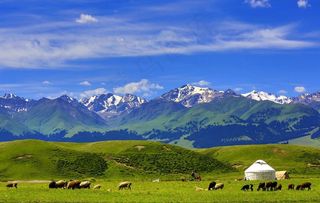 蒙古包  草原风景图片