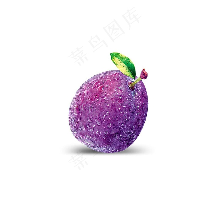 水果素材 西梅  分层 高清图片