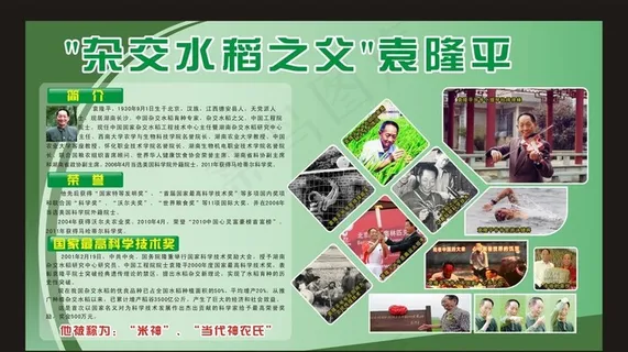 袁隆平 水稻之父 展板图片