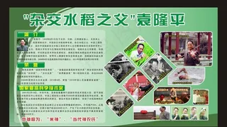袁隆平 水稻之父 展板图片