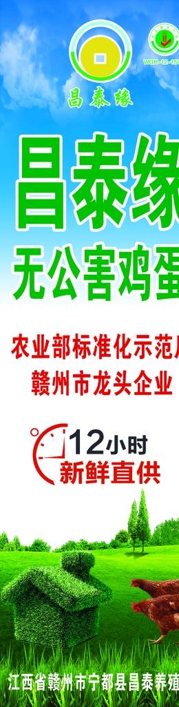鸡蛋海报图片(2332X8188(DPI:80))psd模版下载