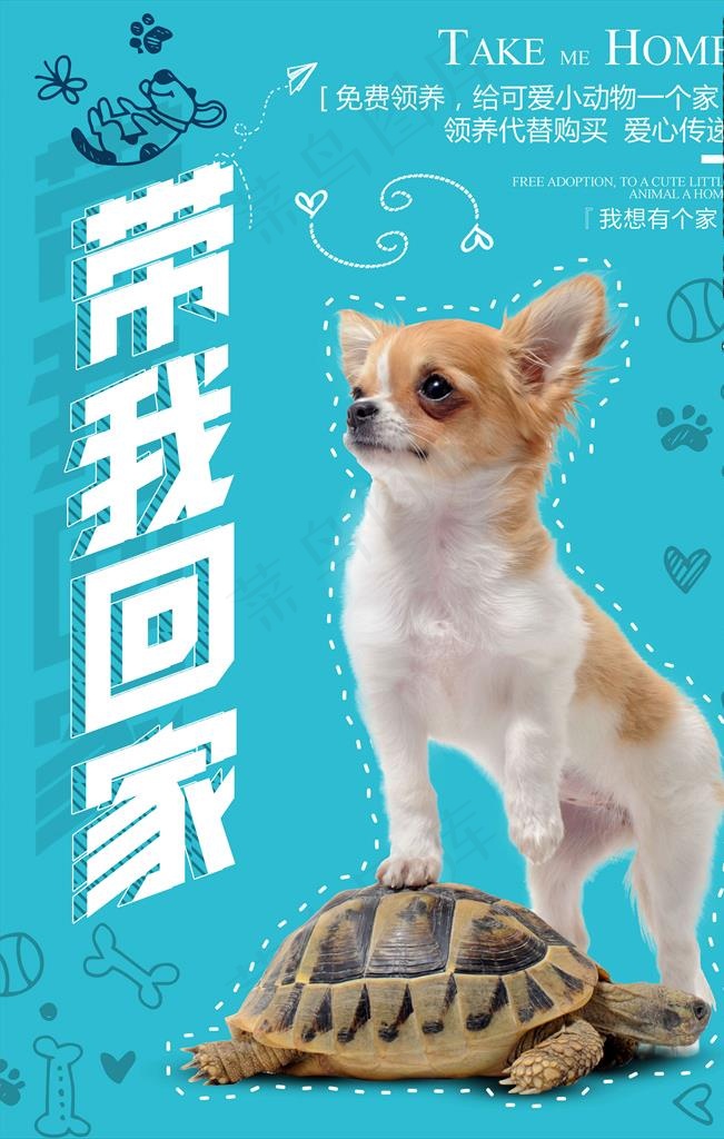 宠物海报图片