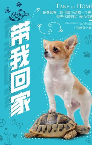 宠物海报图片