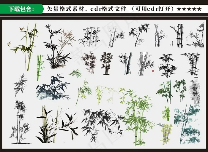 竹 竹子图片