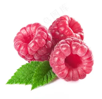 树莓图片 树莓图片
