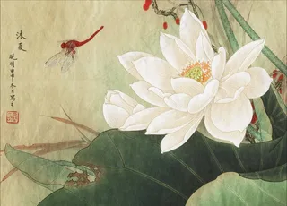 李晓明 工笔画图片