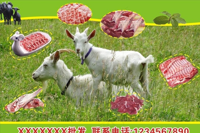 羊肉海报图片(210X297)cdr矢量模版下载
