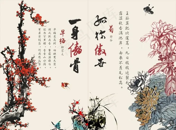 梅菊图片cdr矢量模版下载