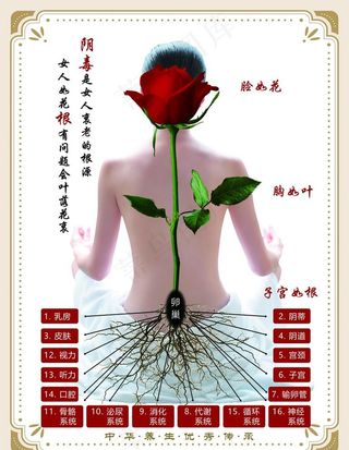 女人如花 宣传海报图片