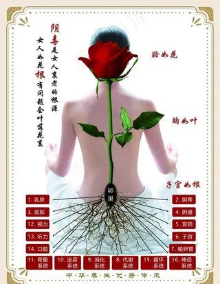 女人如花 宣传海报图片