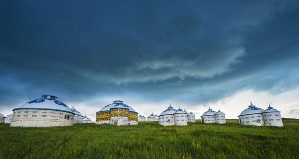 蒙古菜鸟图库片