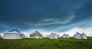 蒙古菜鸟图库片