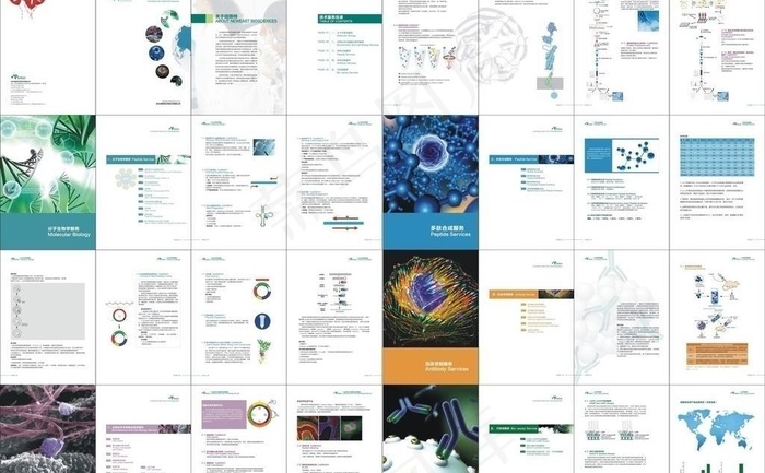 生物科技画册图片cdr矢量模版下载
