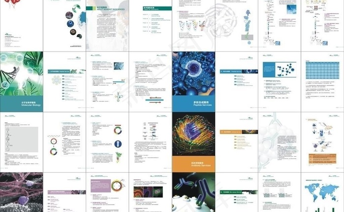 生物科技画册图片