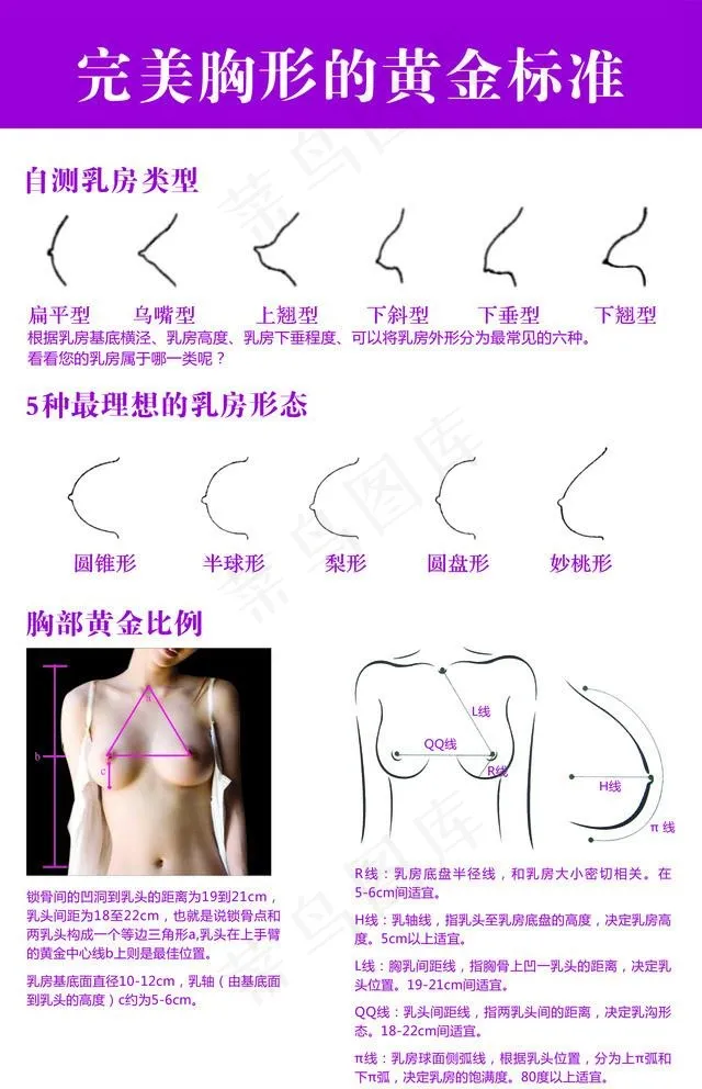 黄金比例图片(1969X3149(DPI:100))psd模版下载