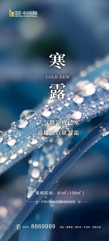 寒露图片(1460X3022(DPI:72))psd模版下载