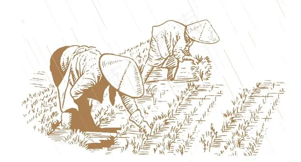 农忙图片 农忙图片