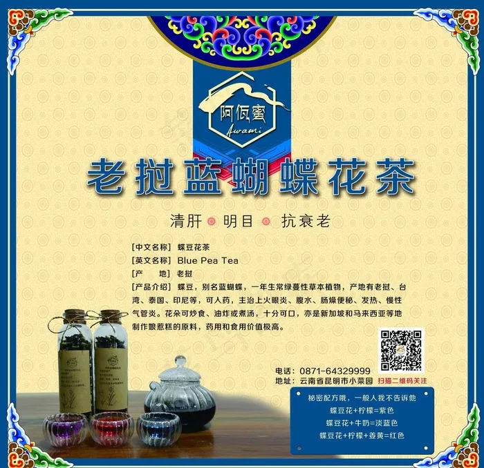 蓝蝴蝶图片