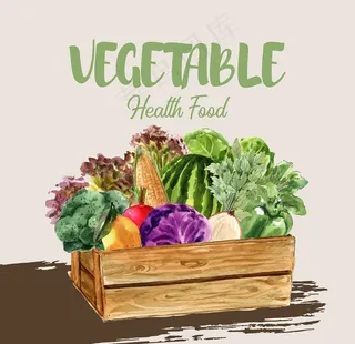 蔬菜 手绘蔬菜 美食 蔬菜插画图片
