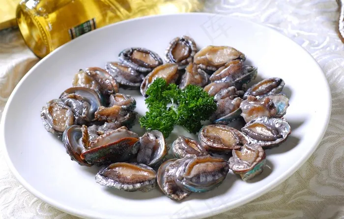 鲍鱼图片