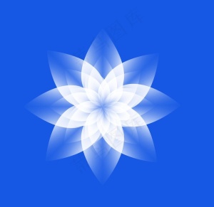 白花图片