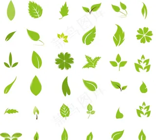 矢量树叶图片