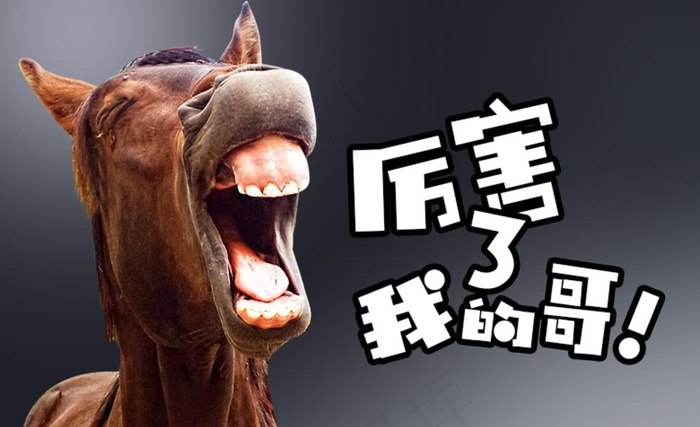 搞怪图片psd模版下载