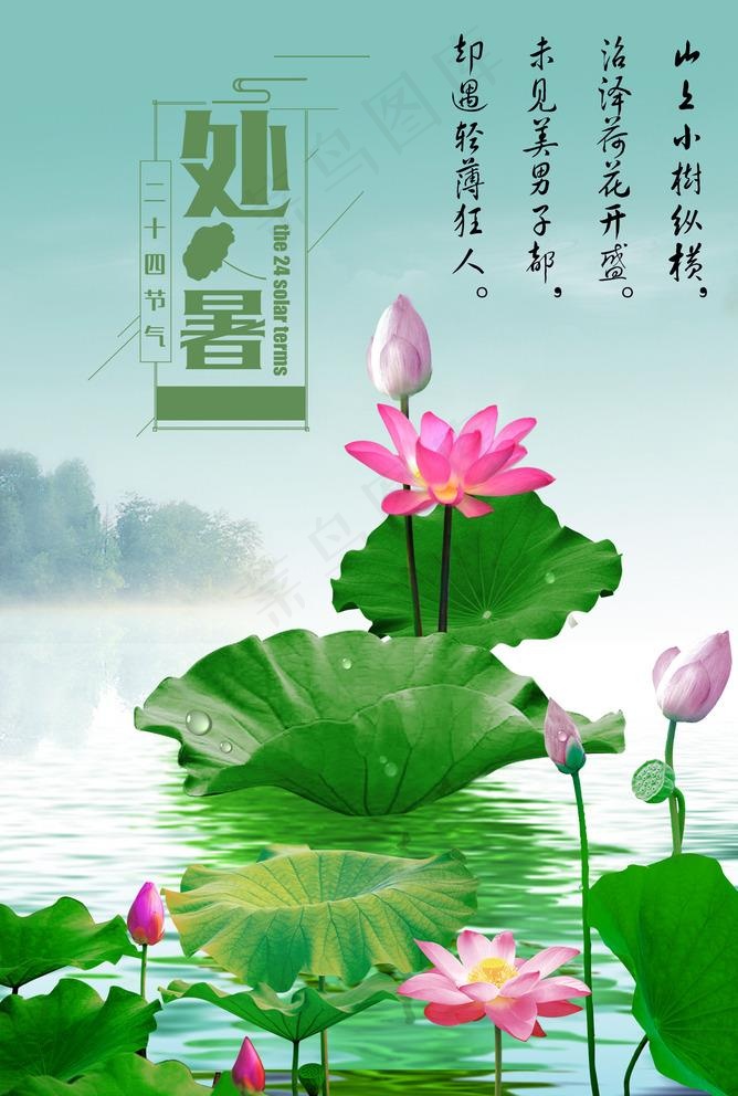 夏天荷花处暑矢量图图片(1665X2551(DPI:300))psd模版下载