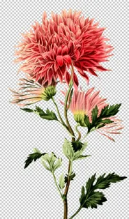 复古鲜花主题装饰图案图片