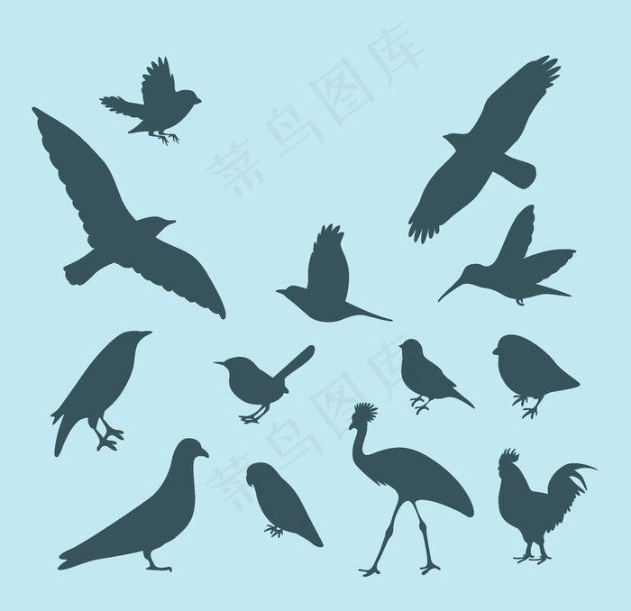 鸟剪影图片