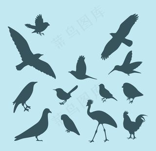 鸟剪影图片