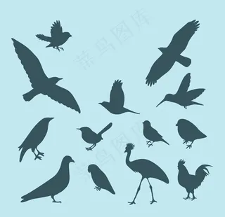 鸟剪影图片