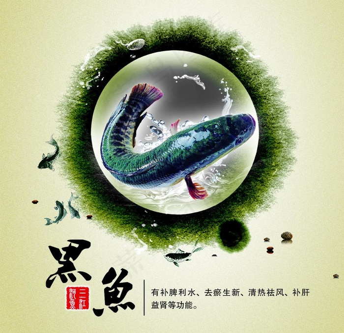 黑鱼图片(1575X1575(DPI:300))psd模版下载