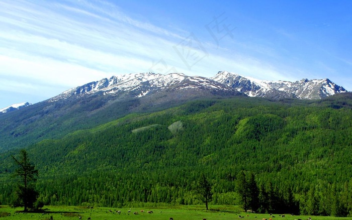 雪山草原图片