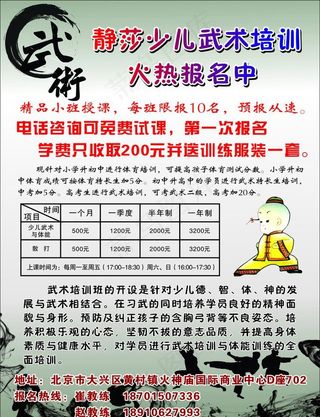武术彩页图片