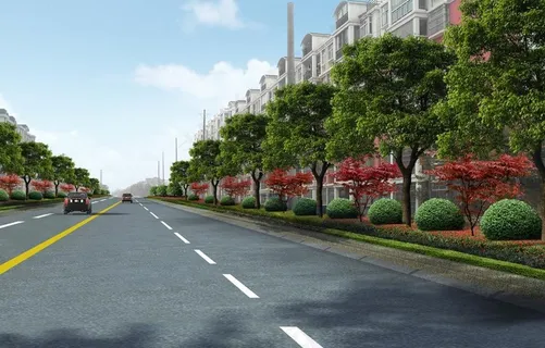 道路绿化图片
