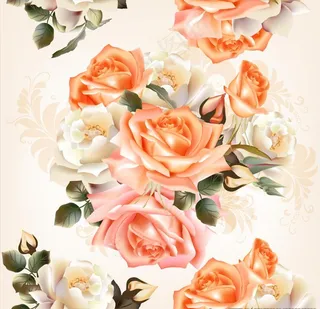 橘色白色玫瑰花图片