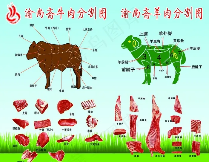 牛肉分割图片(10205X8220(DPI:72))psd模版下载
