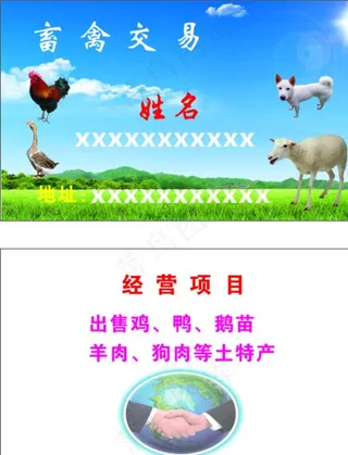 畜禽交易名片图片