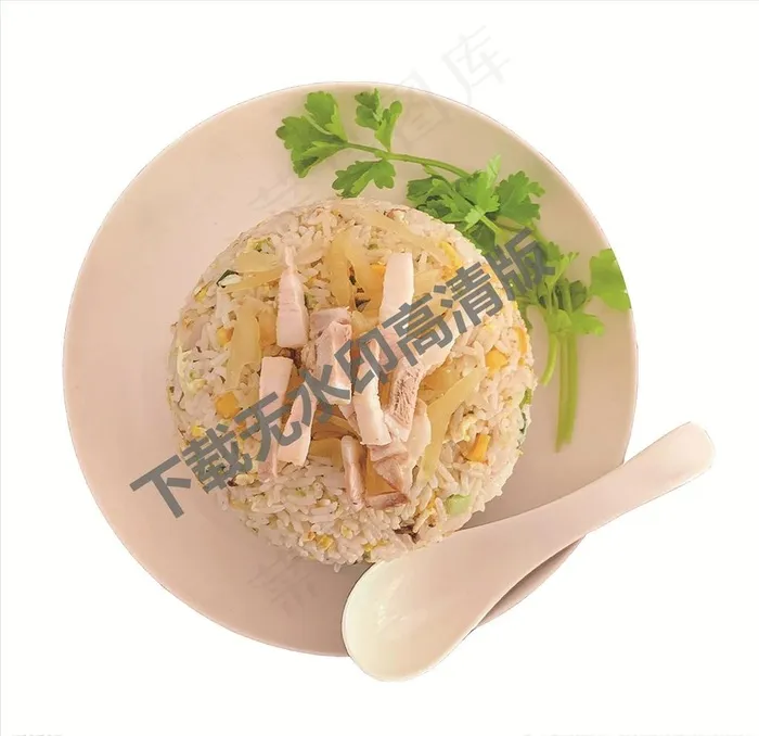 咸菜肉炒饭图片