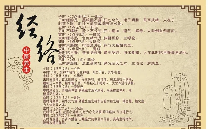 经络养生图片cdr矢量模版下载