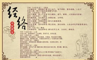 经络养生图片