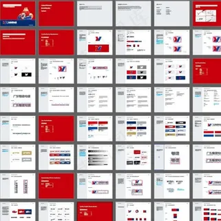 VI视觉形象识别系统图片