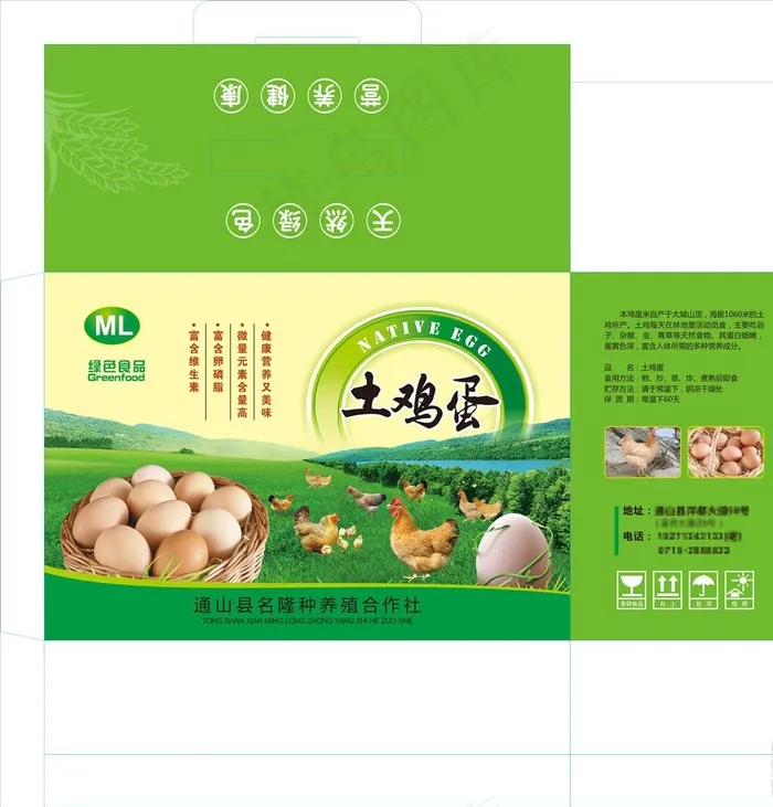 鸡蛋包装盒图片(210X297)cdr矢量模版下载