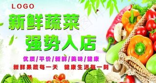 新鲜蔬菜 海报图片